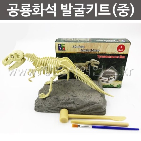 공룡화석발굴키트(중)-트리케라톱스