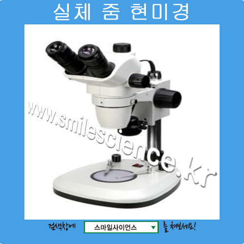 실체줌현미경(DSZM-T55)
