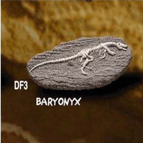 공룡화석발굴(바리요닉스)
