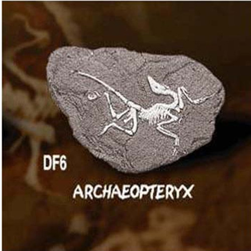 공룡화석발굴(아르케오프테릭스)