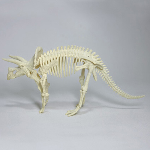 트리케라톱스만들기(PVC) -공룡뼈대맞추기