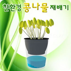 친환경 콩나물 재배기(5인용)