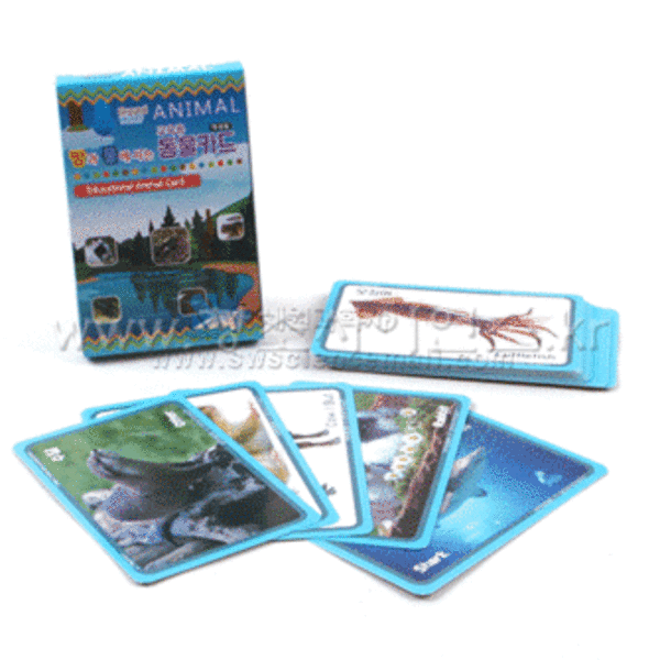 교육용 땅과 물에 사는 동물카드(24종,학생용 케이스부)