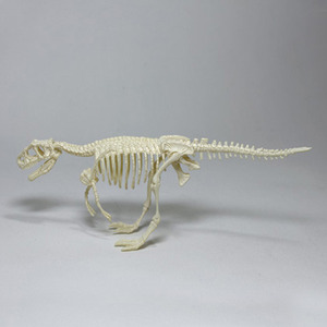 티라노사우르스만들기(PVC) -공룡뼈대맞추기